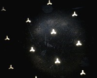 spinneret project thumbnail