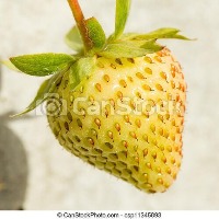 Straw Unripe project thumbnail