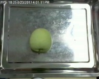 Unripe Apple Object Detection Dataset by Fruits ripeness