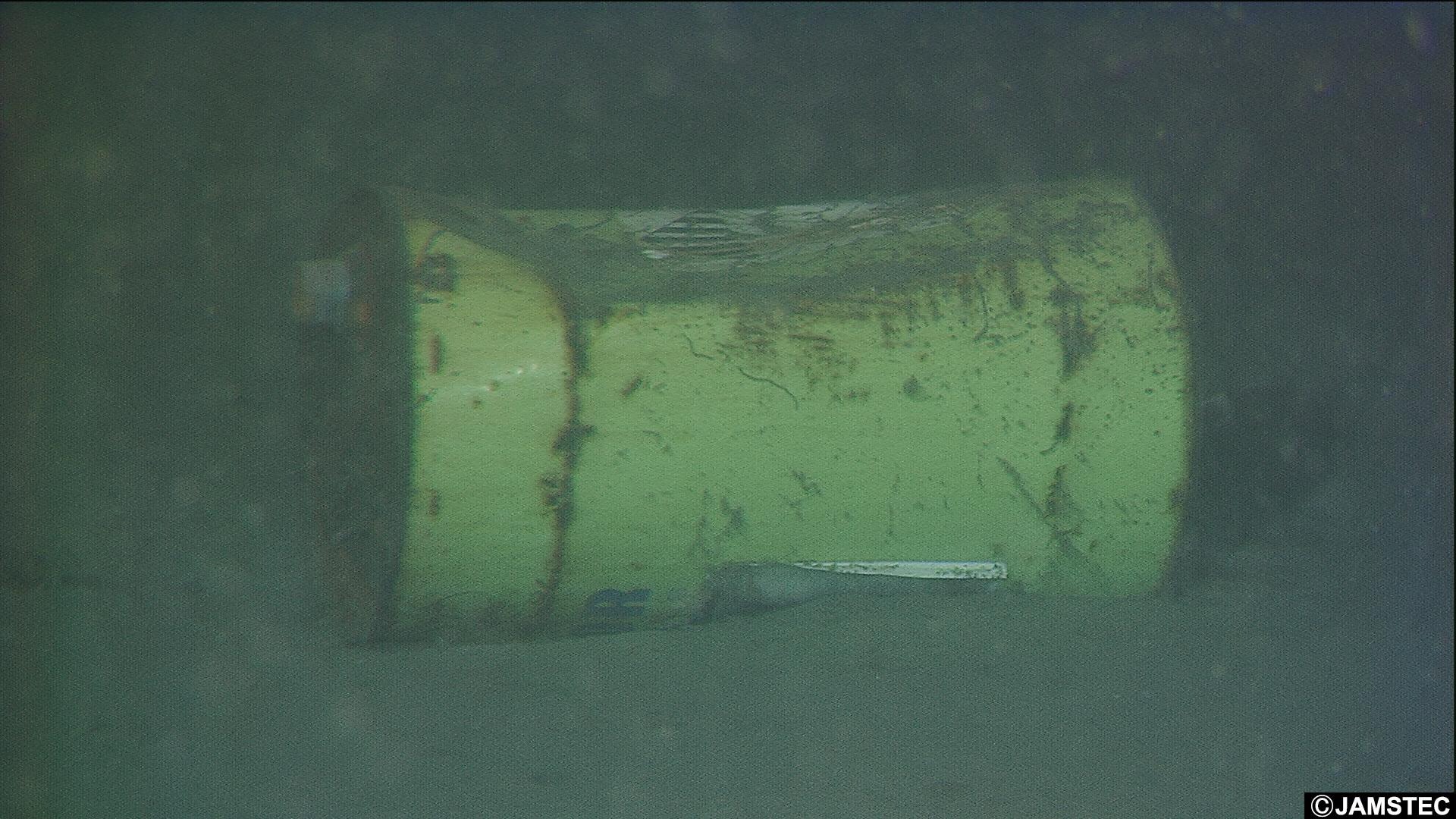 Top Datasets and Models Roboflow Universe