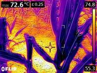 FAW-IFR-DETECTION project thumbnail