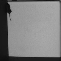 mouse project thumbnail