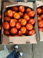 TomatoReady project thumbnail