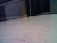 pingpong project thumbnail