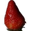 Fruit Class project thumbnail