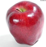 fruit_o2 project thumbnail