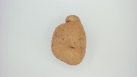 Bruises Potato Data Set 1_Dingin project thumbnail