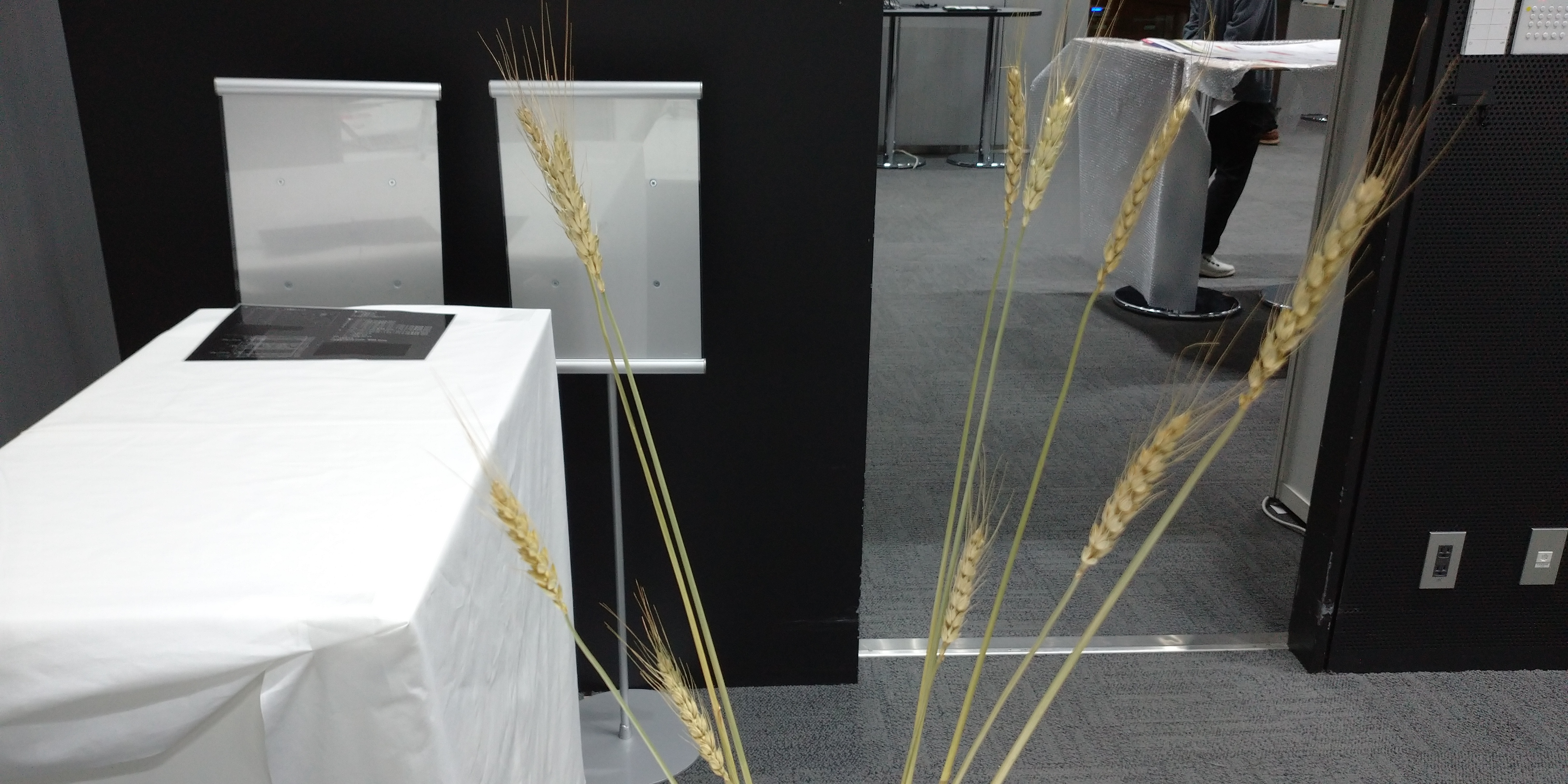 b27a37c17bdf Object Detection Model by myfirstworkspace