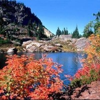 landscape project thumbnail