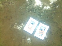 Bins project thumbnail