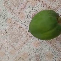 Papaya Ripeness Detection project thumbnail