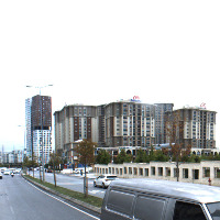 Dataset Image