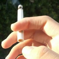 smoking detection Object Detection Model by project