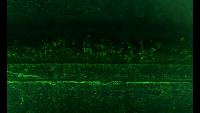 Risserkennung Vid1 project thumbnail