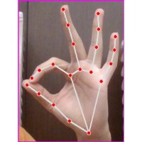 Sign Lang Classification project thumbnail