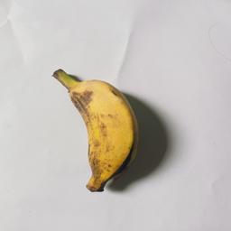 Banana Classfication dataset Classification Dataset by ICE498