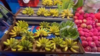 fruits2024 project thumbnail