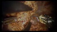 Clip 4- project thumbnail