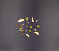 Appetite-rawmat-potato project thumbnail
