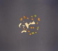 Appetite-rawmat-FrenchBean project thumbnail