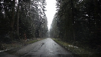 Pexels-Snow project thumbnail