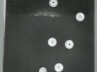 8-1 button project thumbnail
