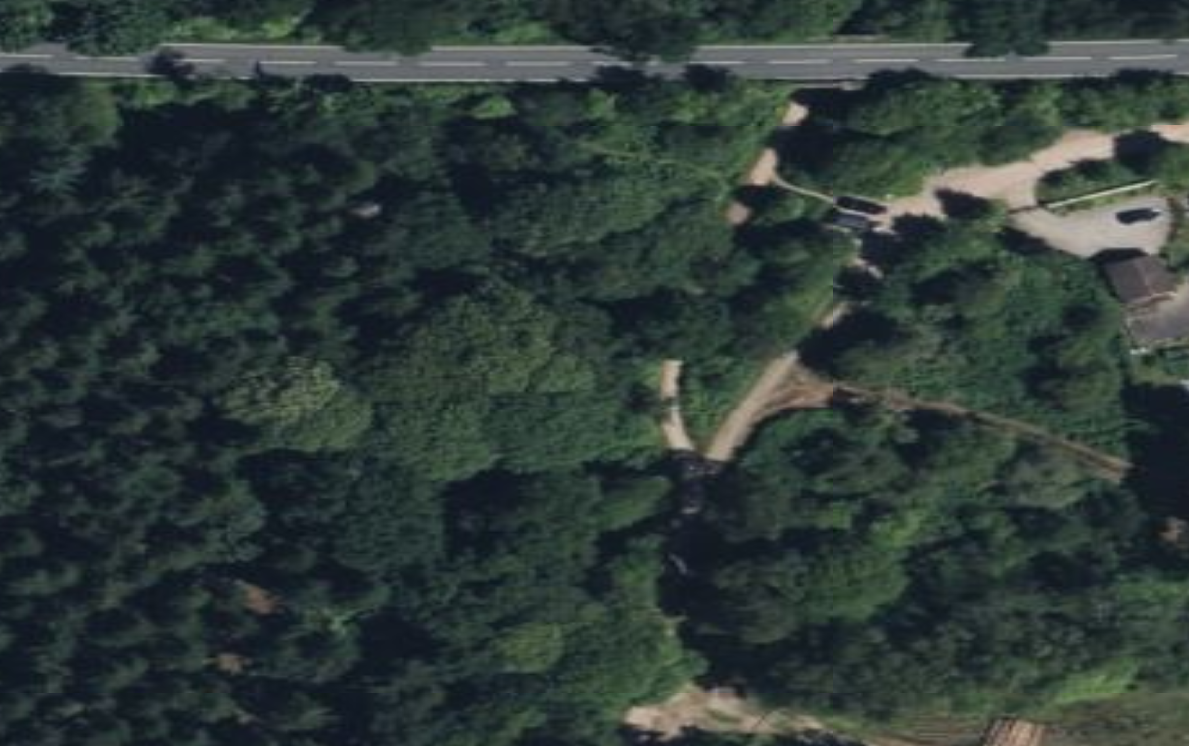 Tree species classification Object Detection Model by Harish