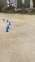 small cone detect project thumbnail