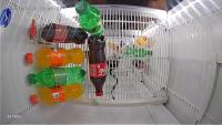 soda-bottles-ss-illf project thumbnail