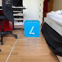 Dataset Image