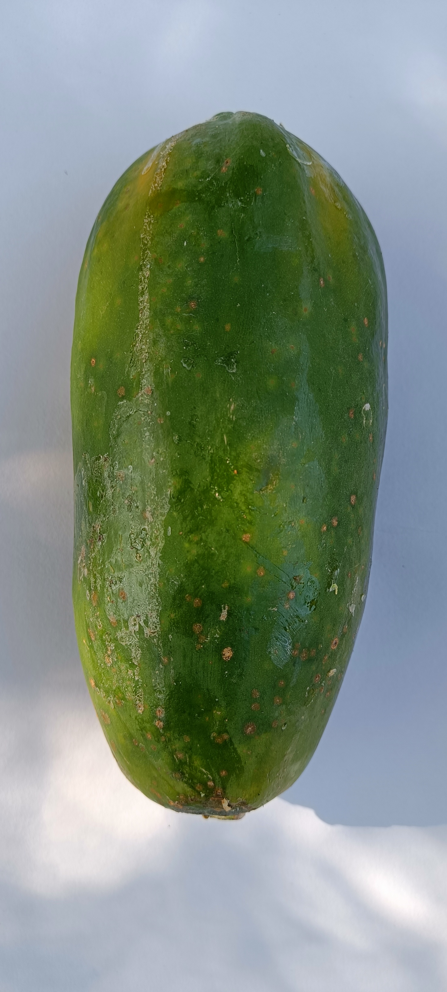 Papaya Classification Classification Dataset by Animal Classification