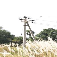Find insulators, rail poles, double crossarms, concrete poles, transformers, single crossarms, cutouts, splice  cases and rs joists project thumbnail