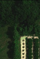 tree2 project thumbnail