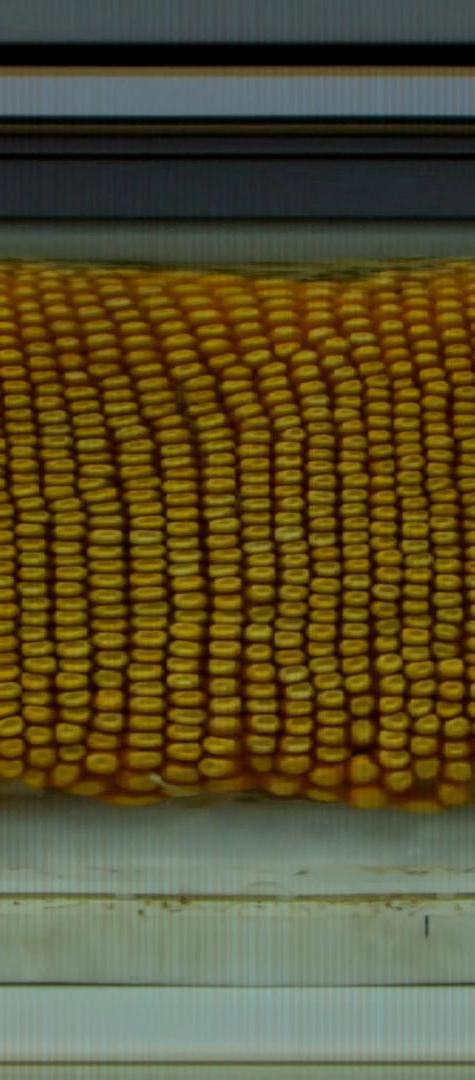 test Instance Segmentation Dataset by shanxi