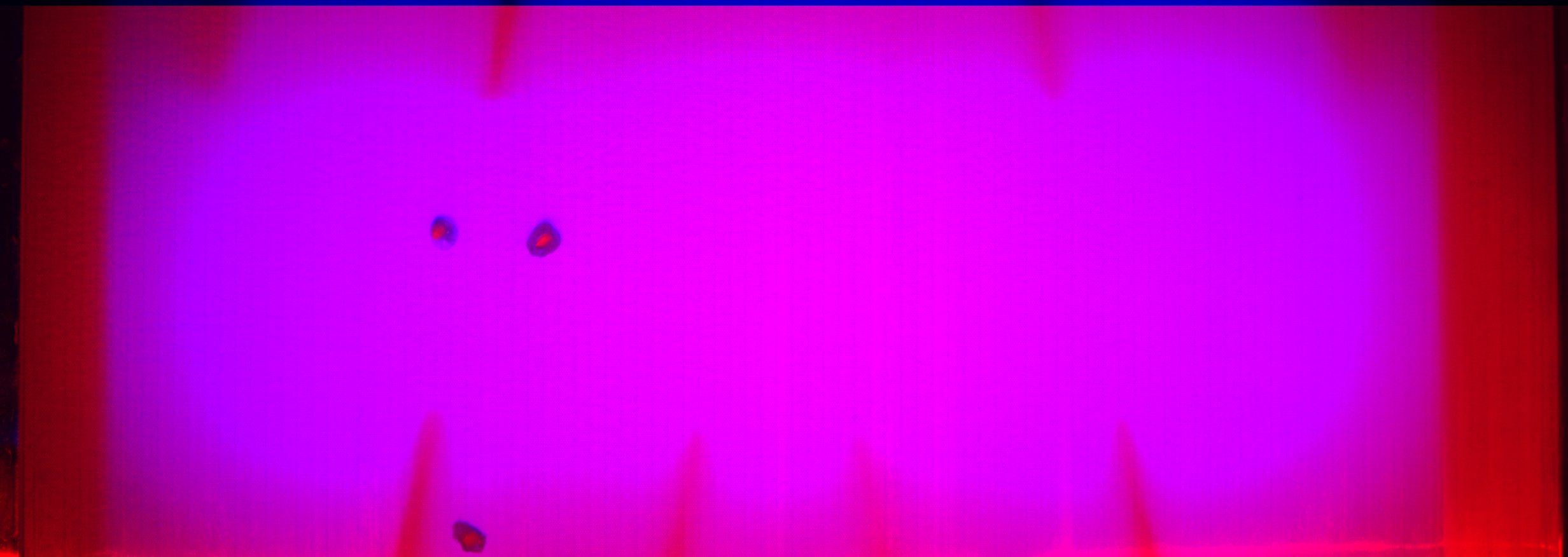 Cherry Inspection Object Detection Dataset by Pepper