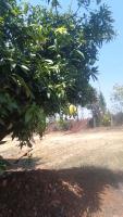 banginapalli r6 07 04 2026 project thumbnail