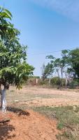 banginapalli row 2 03 april project thumbnail