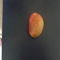 Vegetables_merged project thumbnail