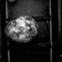 detector egg project thumbnail