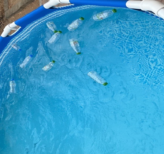 Autonomous Boat Capstone Object Detection Dataset By Images4