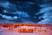 thermal images 2 project thumbnail