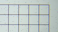 Sperm_1s2f_4part project thumbnail