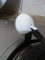 Egg project thumbnail