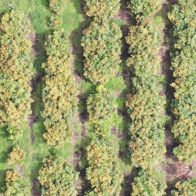 tr33_DU_005_0127_HD_0 Object Detection Dataset by Proyectos