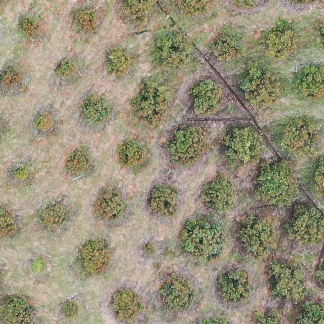 tr33_GK_005_0192_LD_2 Object Detection Dataset by Proyectos