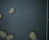 defect project thumbnail