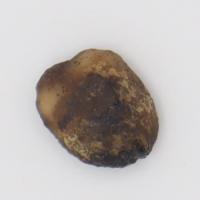 Dataset Grean Bean project thumbnail