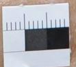 grid line process project thumbnail