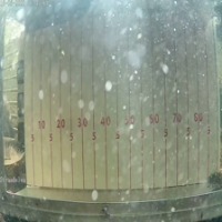 auto-generated-dataset-7 project thumbnail