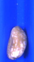 shizong0320 project thumbnail